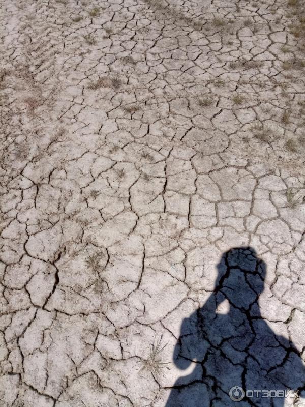 Соленое озеро (Украина, с. Антоновка) фото