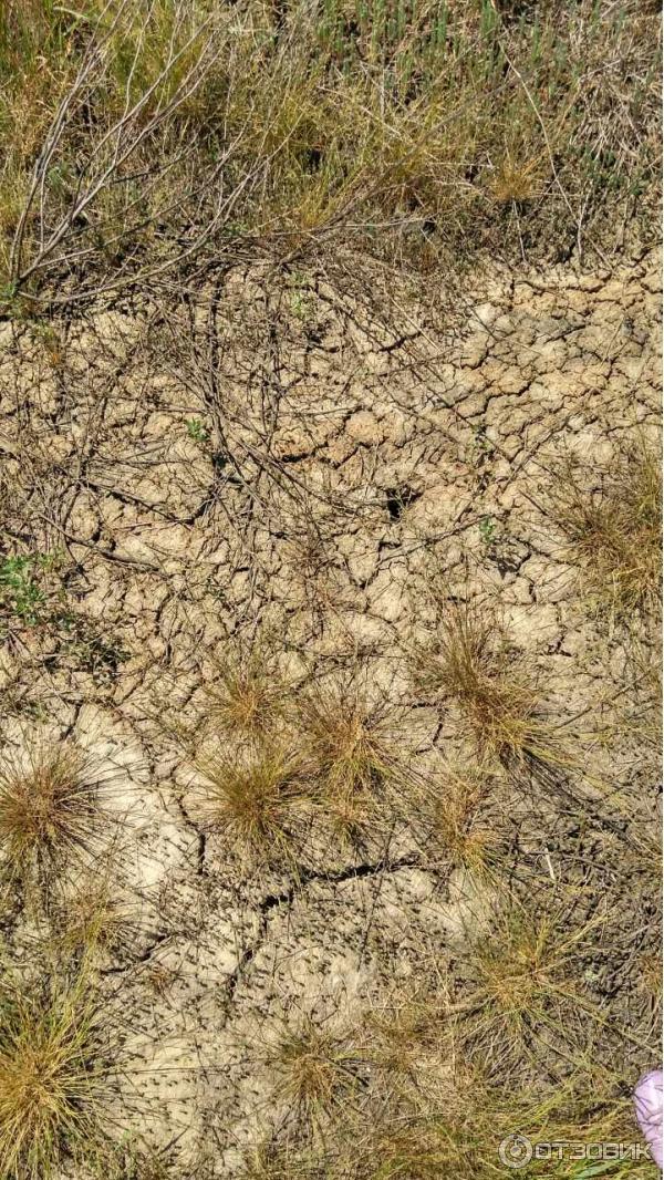 Соленое озеро (Украина, с. Антоновка) фото