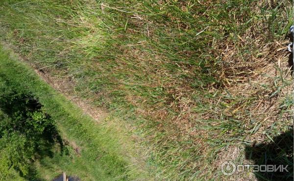 Соленое озеро (Украина, с. Антоновка) фото