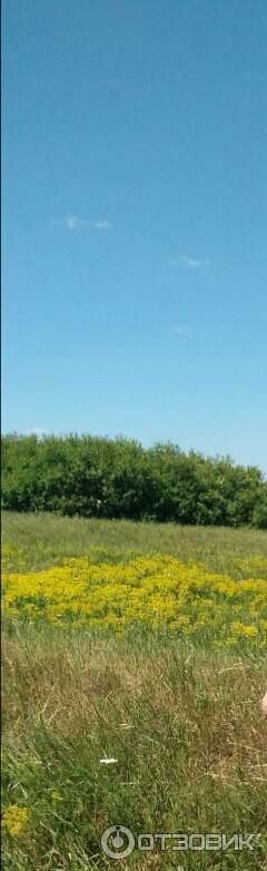 Соленое озеро (Украина, с. Антоновка) фото