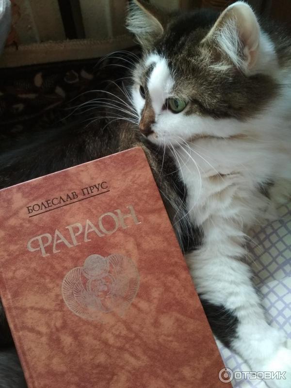 Отзыв о Книга "Фараон" - Болеслав Прус | Исторический роман с глубоким ...