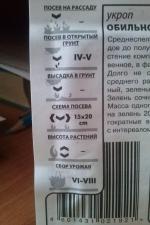 Семена укропа Гавриш "Укроп Обильнолистный" фото