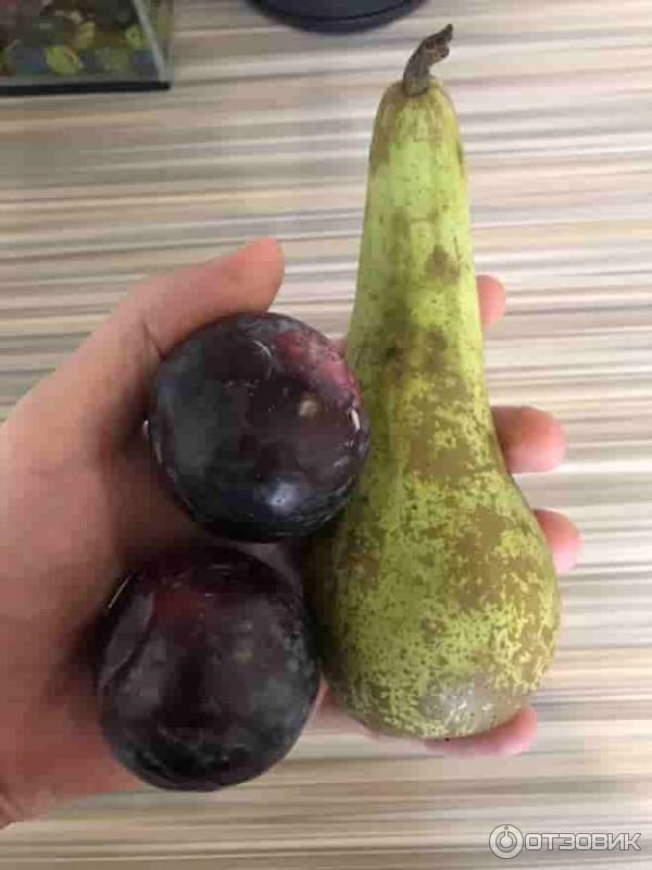 Препарат SNS Smart Powders Phenyl-piracetam фото