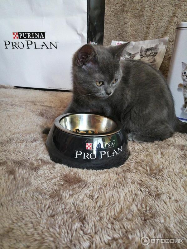 Корм для котят Purina Pro Plan фото