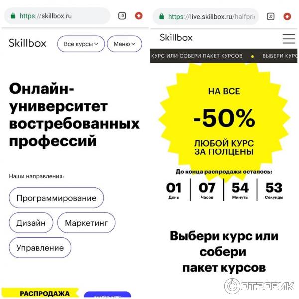 Skillbox программирование. Программирование skillbox. skillbox отзывы о курсах программирования.