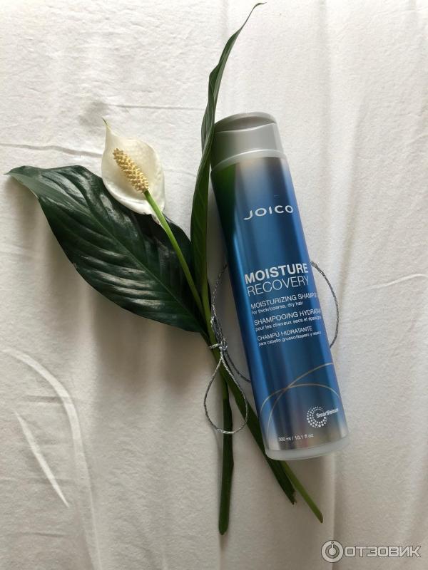 Шампунь для сухих волос Joico Moisture Recovery Shampoo фото