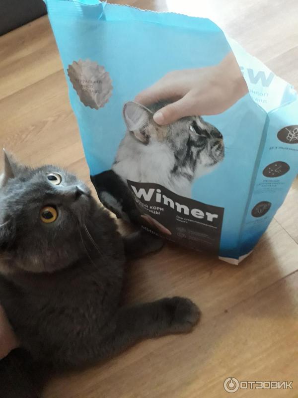 Корм для кошек Мираторг Winner фото
