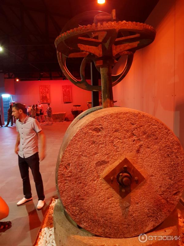 Музей масла вологда. Музей оливкового масла в кемере. Музей оливок кемер. Музей оливкового масла анталья. Оливковый музей в турции.