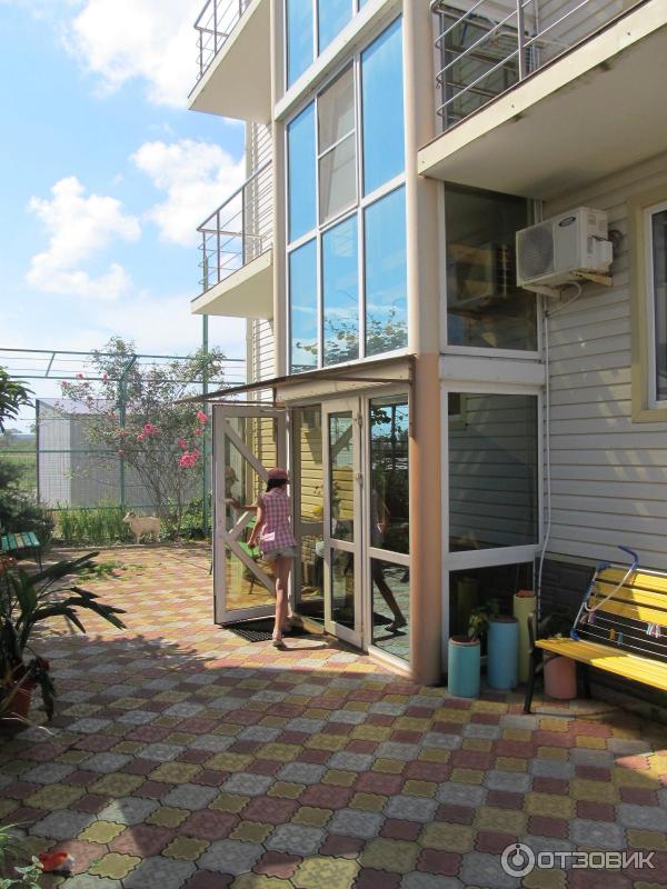 Кукуруза сочи фото