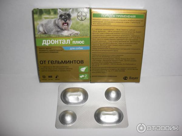 Дронтал Для Кошек Купить В Новосибирске
