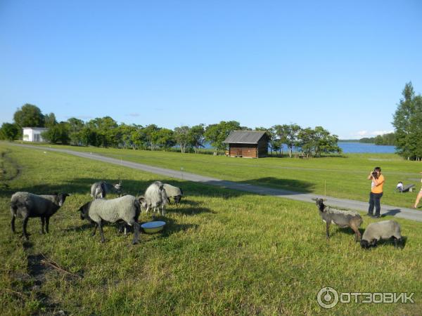 Экскурсия в дом Яковлева в музее-заповеднике Кижи (Россия, Карелия) фото