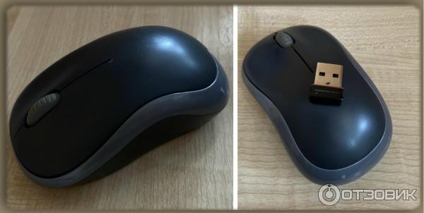 Беспроводная мышь Logitech M185 фото