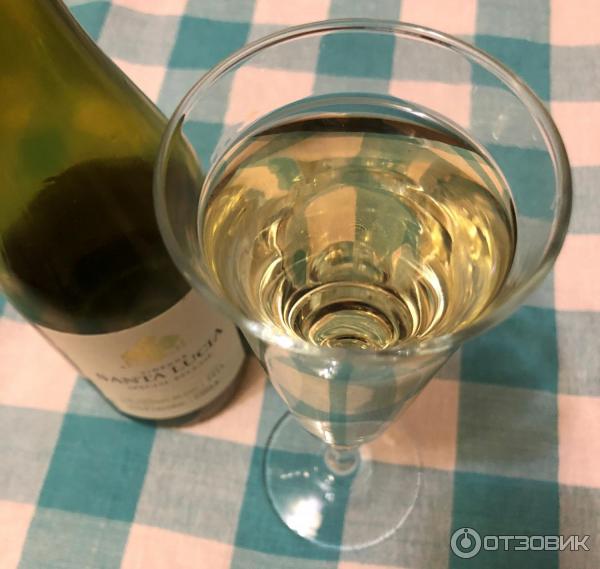 Вино белое сухое Chile Santa Lucia Sauvignon Blanc фото