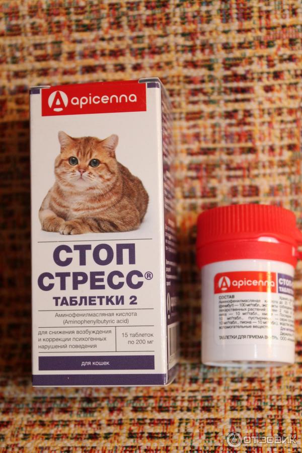 Стоп стресс для кошек