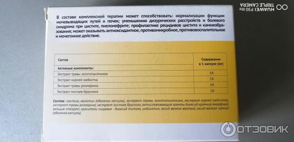 Нефробест Капсулы Где Можно Купить Недорого Чайковский