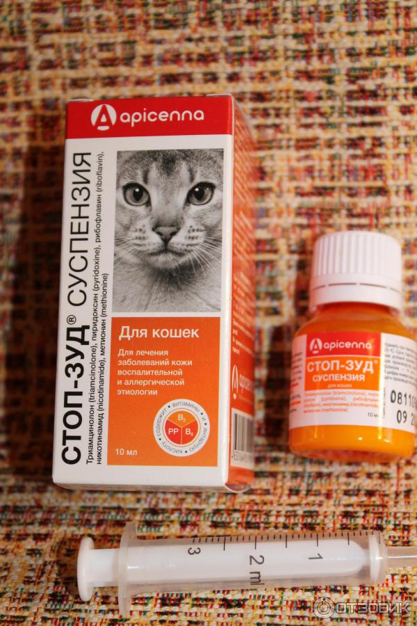 Что дать со. Суспензия apicenna стоп-зуд для кошек, 10 мл. Суспензия apicenna стоп-зуд для собак, 15 мл. Стоп-зуд суспензия для кошек 10мл. Суспензия от аллергии для кошек.