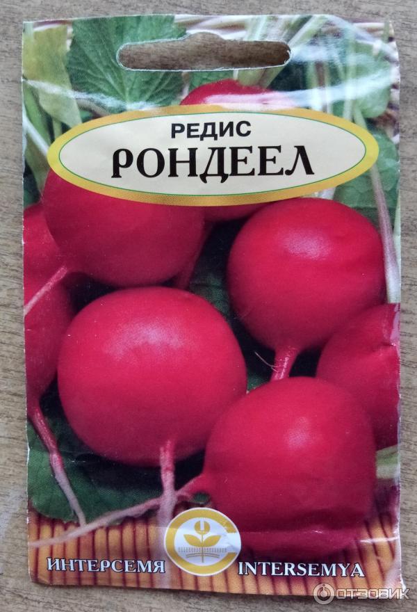 Где Купить Семена Редиса