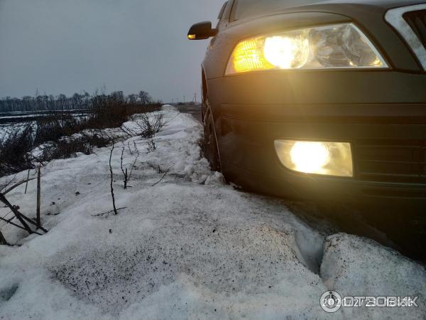 Автомобиль Skoda Octavia А5 хэтчбек фото