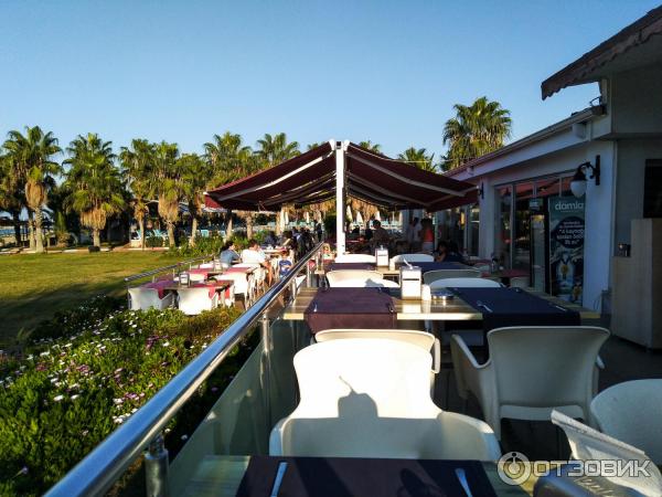 Отель Soho Beach Club Belek (Турция, Белек) фото