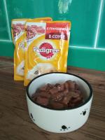 Корм для собак Pedigree с говядиной в соусе фото