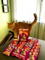 Продукция Whiskas фото