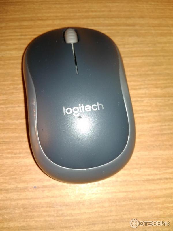 Беспроводная мышь Logitech M185 фото