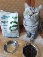 Сухой корм для кошек Alleva Holistic фото