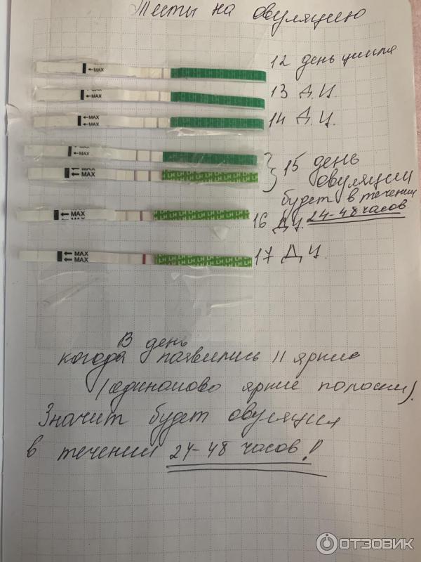 Тест для определенияовуляции МАМА TEST, 5 тест-полосок