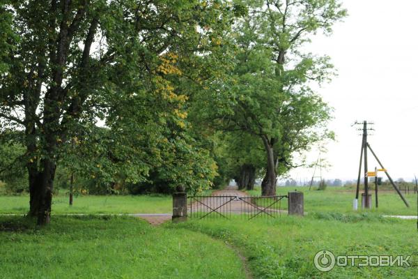 Город Сигулда (Латвия) фото