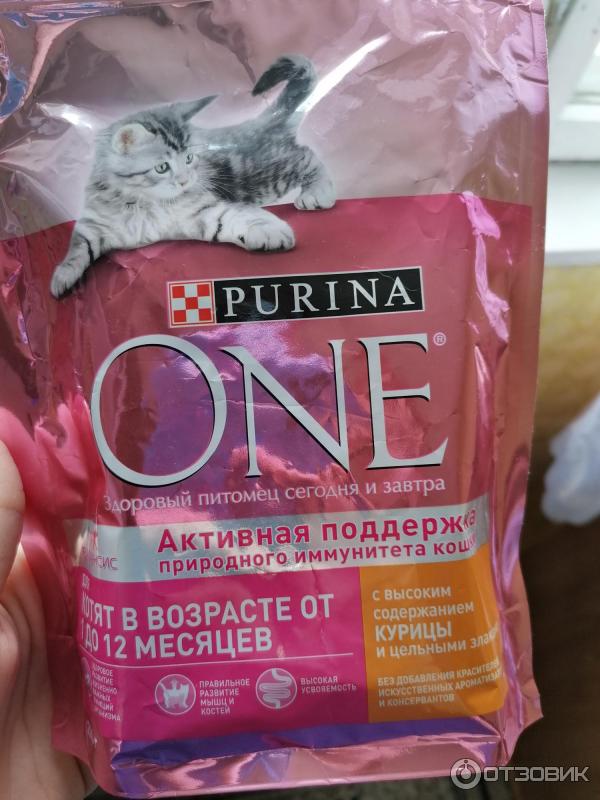 Корм для котят Purina One фото