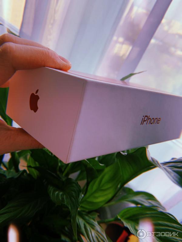 Смартфон Apple iPhone XR фото