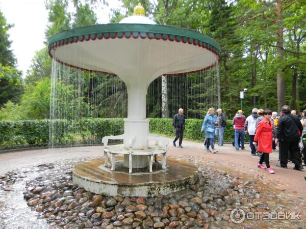 Отзыв о Нижний парк Петергофа (Россия, Санкт-Петербург) | Пешком или на ...
