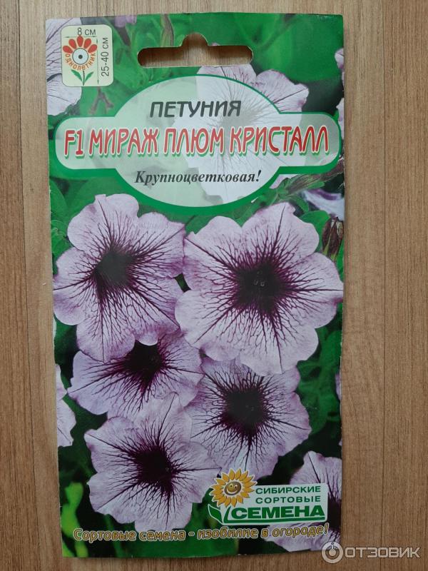 Петуния Яблоневый Цвет Купить