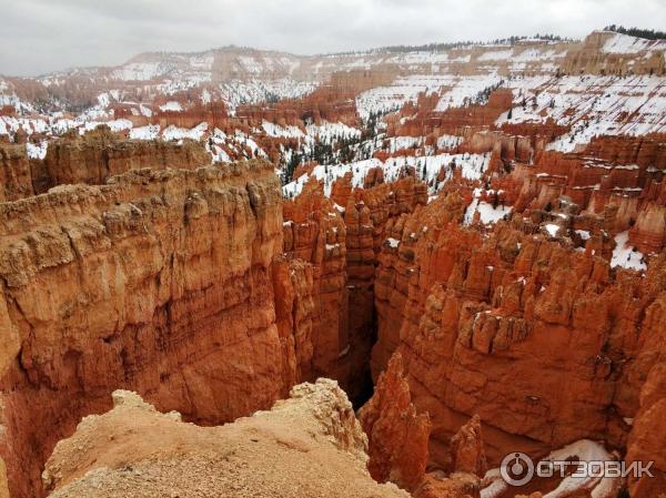 путешествие в Америку фото Брайос Каньон