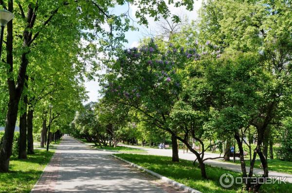 Город москва сиреневый бульвар