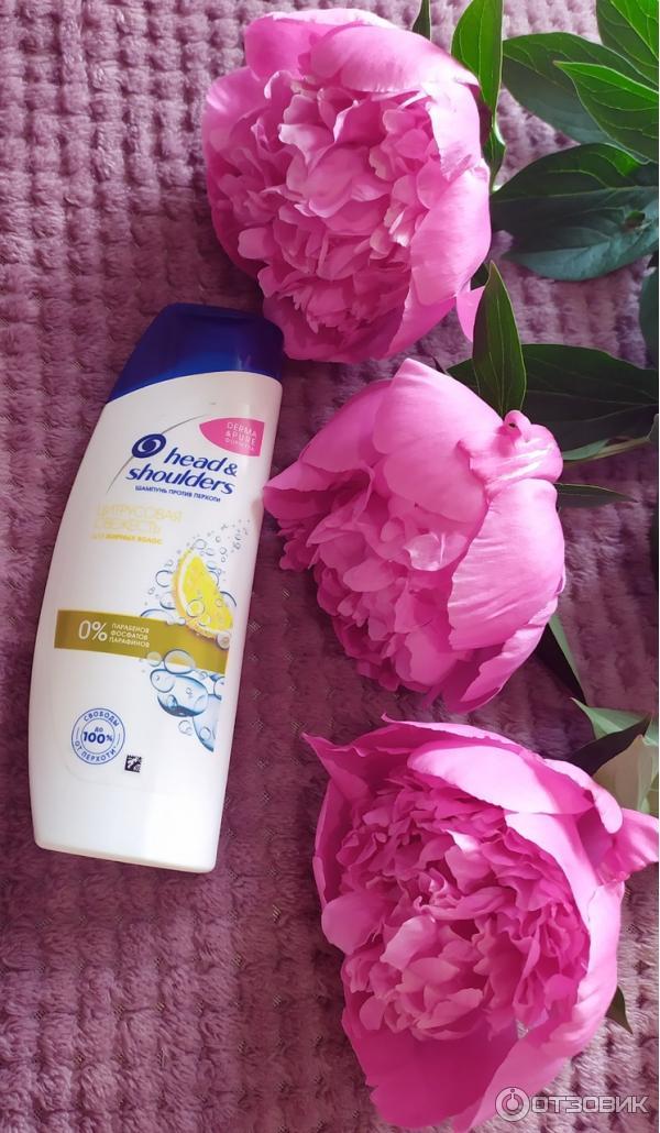 Шампунь Head & Shoulders Цитрусовая свежесть фото