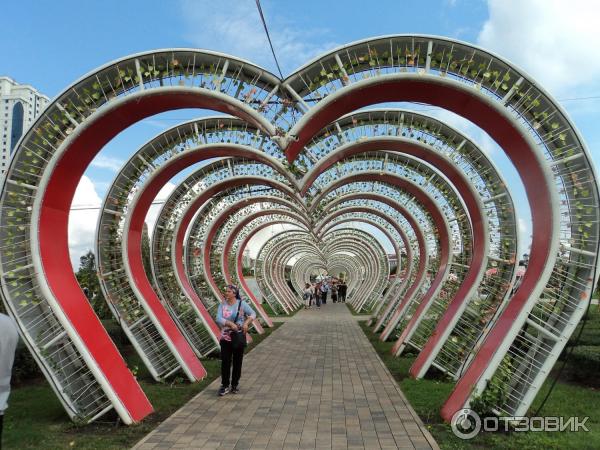 Экскурсия по Чеченской республике (Россия) фото