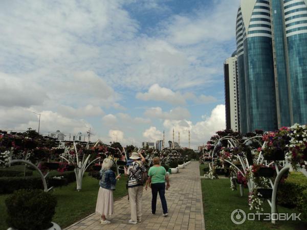 Экскурсия по Чеченской республике (Россия) фото