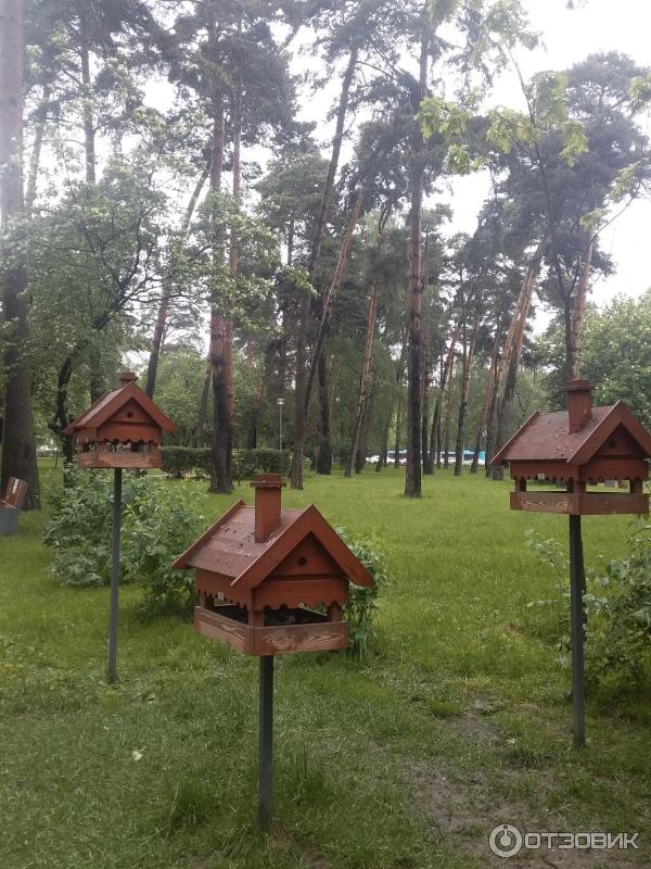 Городской парк Сосенки (Россия, Москва) фото