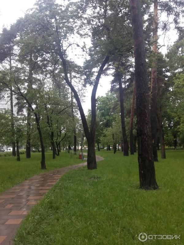 Городской парк Сосенки (Россия, Москва) фото