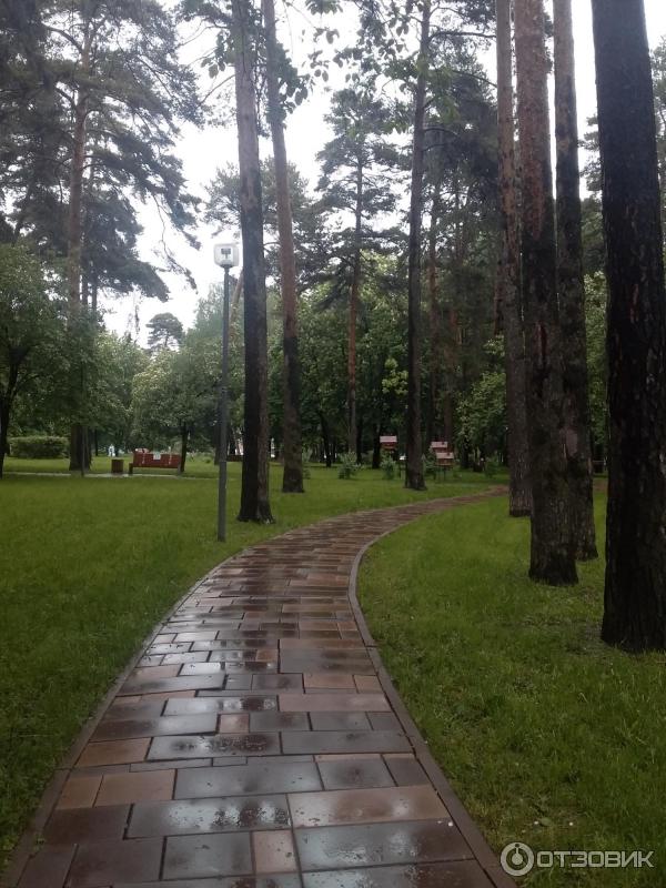 Городской парк Сосенки (Россия, Москва) фото