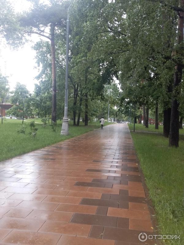Городской парк Сосенки (Россия, Москва) фото