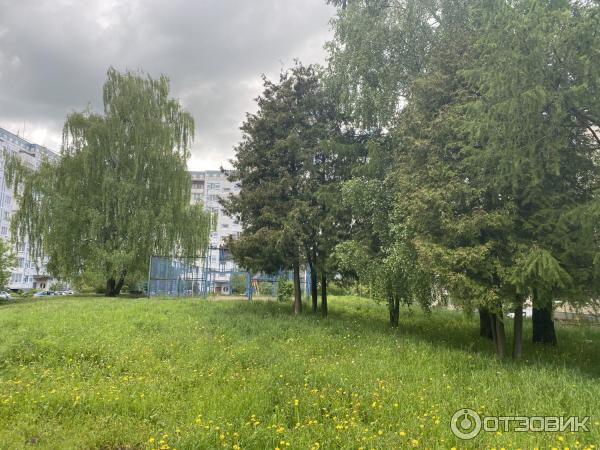 Город Пересвет (Россия, Московская область) фото