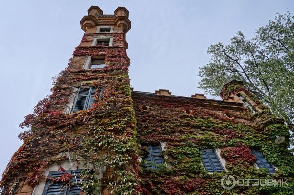 Прогулка по тропе San Osvaldo (Италия, Трентино-Альто-Адидже) фото