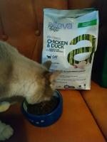 Сухой корм для кошек Alleva Holistic фото