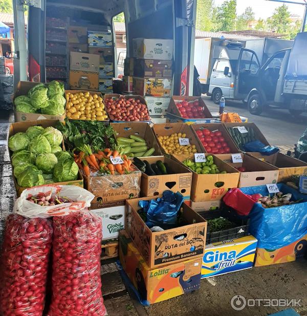 Рынок фруктов сочи. Фруктовый рынок в сочи. Адлеровский рынок. Рынок фруктов сочи. Фрукты на рынке в сочи.