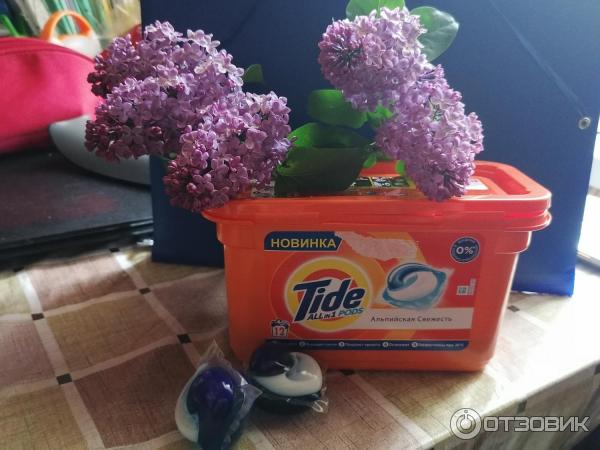 Капсулы для стирки Tide All in 1 Pods Альпийская свежесть фото