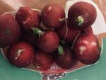 Редис свежий красный BeFresh фото