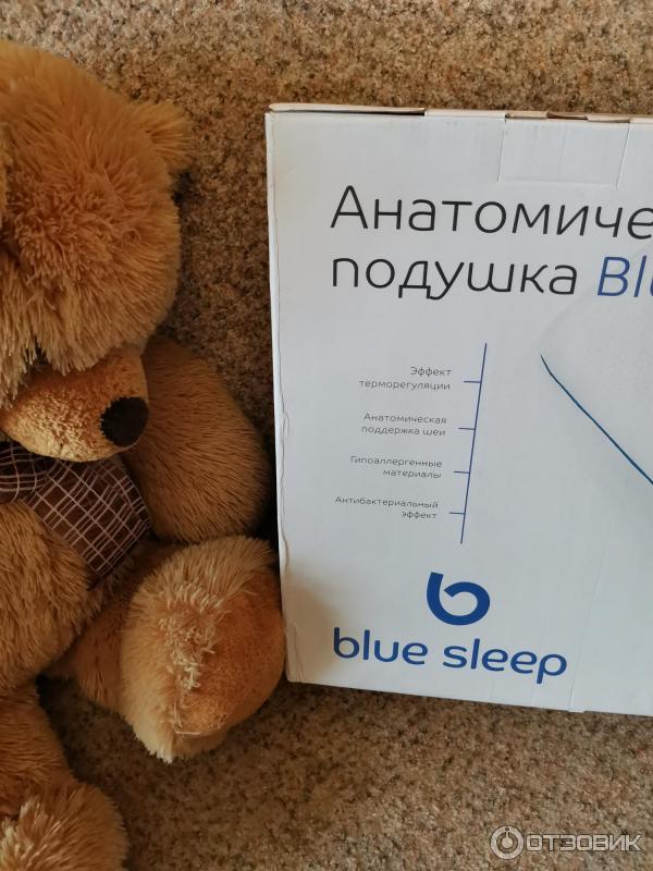 Сон Бай Купить В Минске