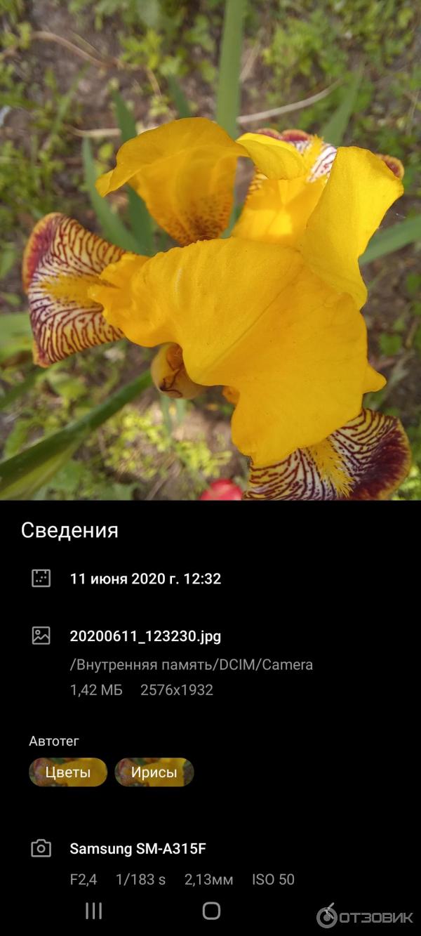 Смартфон Samsung Galaxy А31 фото